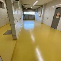 Revestimento Piso Uretano